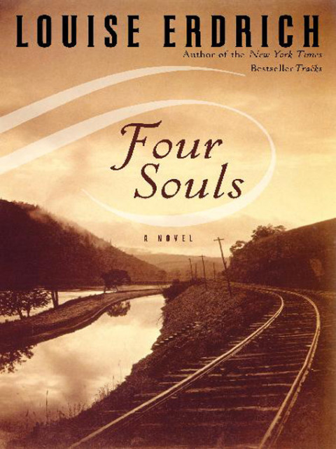 Book Four Souls: A Novel free