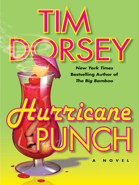 Book Hurricane Punch (Serge Storms series Book 9) free