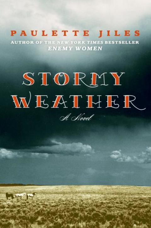 Book Stormy Weather: A Novel free