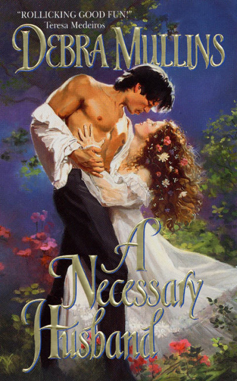 Book A Necessary Husband free