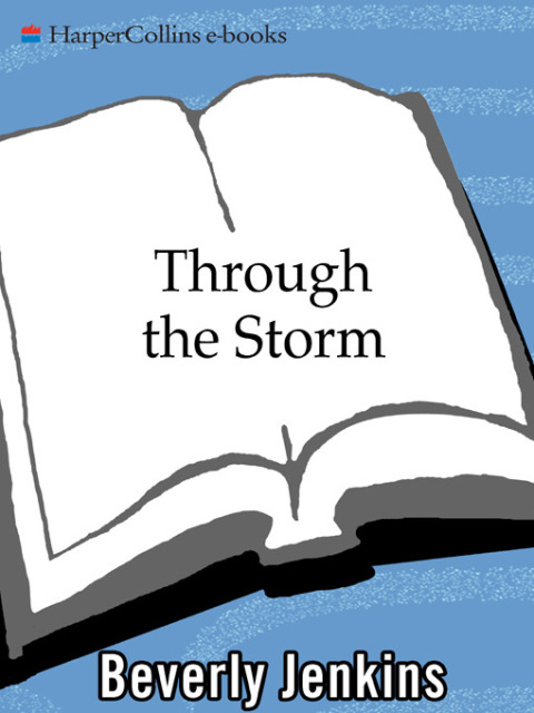 Book Through the Storm free