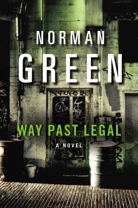 Book Way Past Legal: A Novel free