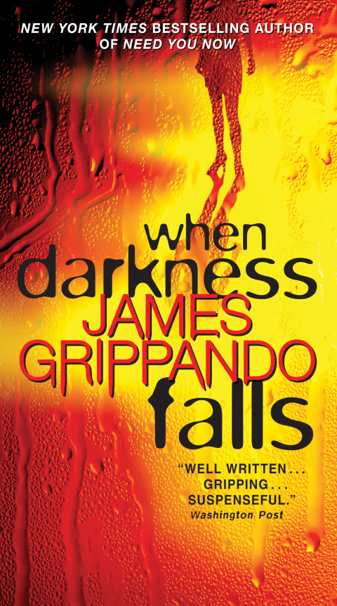 Book When Darkness Falls (Jack Swyteck Book 6) free