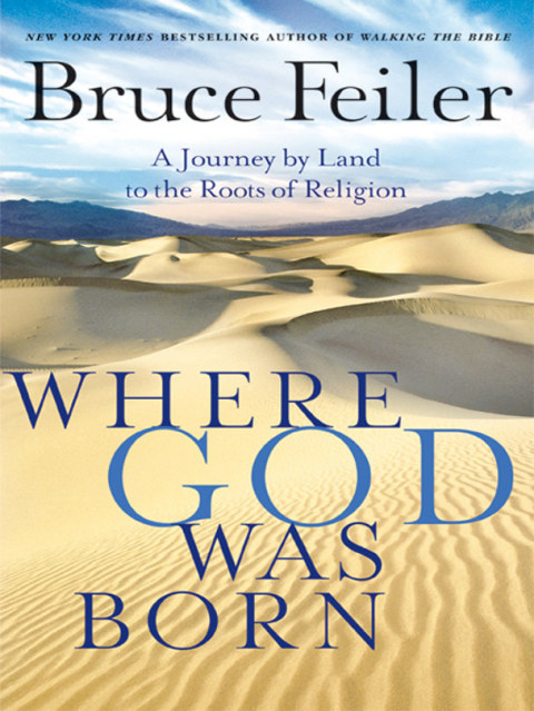 Book Where God Was Born: A Daring Adventure Through the Bible's Greatest Stories (P.S.) free