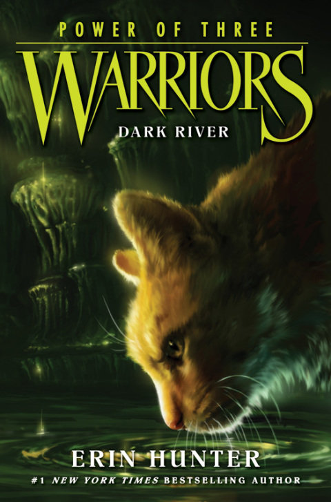 Book Warriors: Power of Three #2: Dark River free