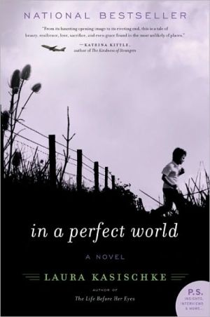 Book In a Perfect World: A Novel free