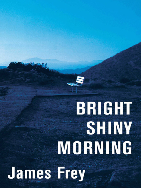 Book Bright Shiny Morning (P.S.) free