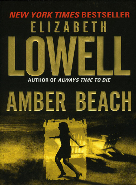 Book Amber Beach (The Donovans Book 1) free