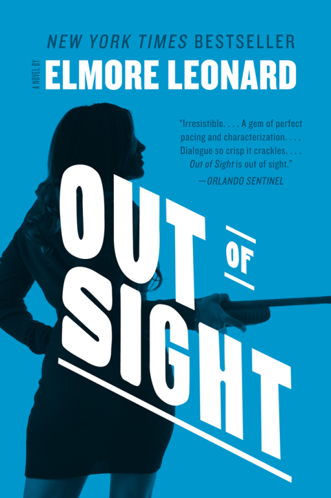 Book Out of Sight: A Novel free