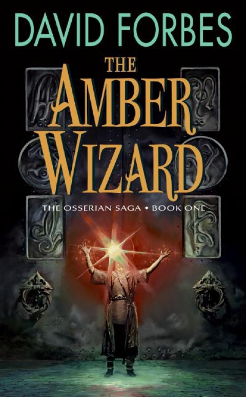 Book The Amber Wizard free