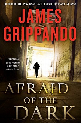 Book Afraid of the Dark (Jack Swyteck Novel) free