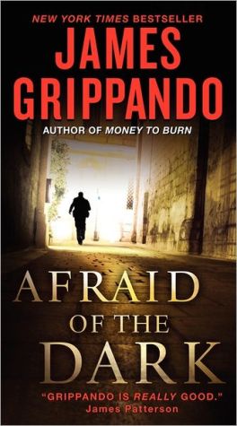 Book Afraid of the Dark (Jack Swyteck Novel, 9) free