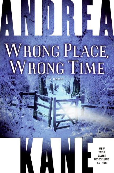 Book Wrong Place, Wrong Time (Pete Montgomery Book 1) free