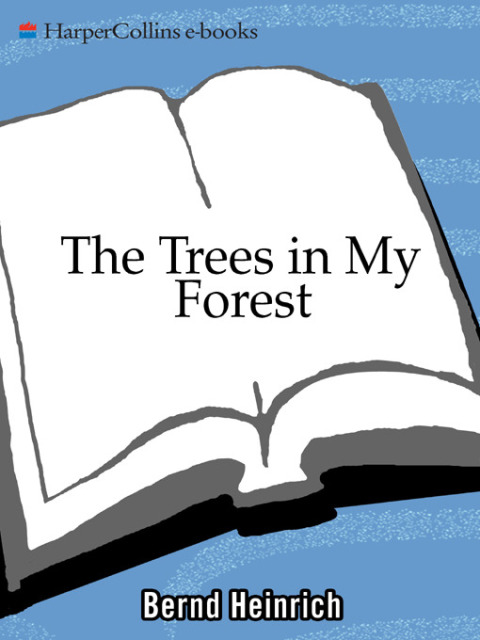 Book The Trees in My Forest free