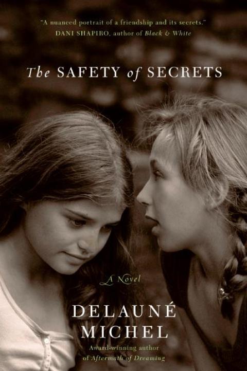 Book The Safety of Secrets free