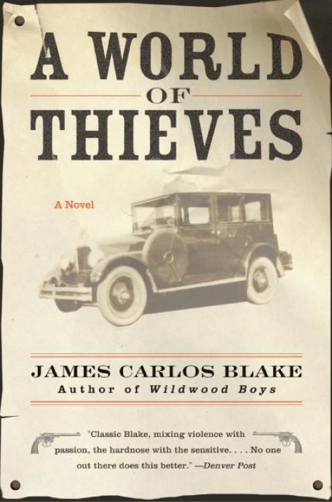 Book A World of Thieves free