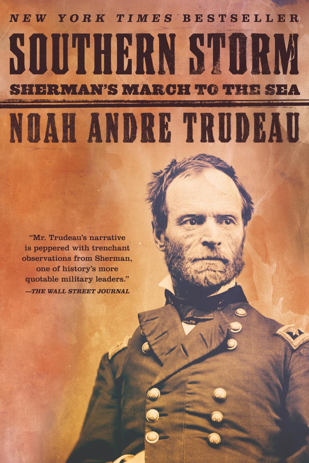 Book Southern Storm: Sherman's March to the Sea free