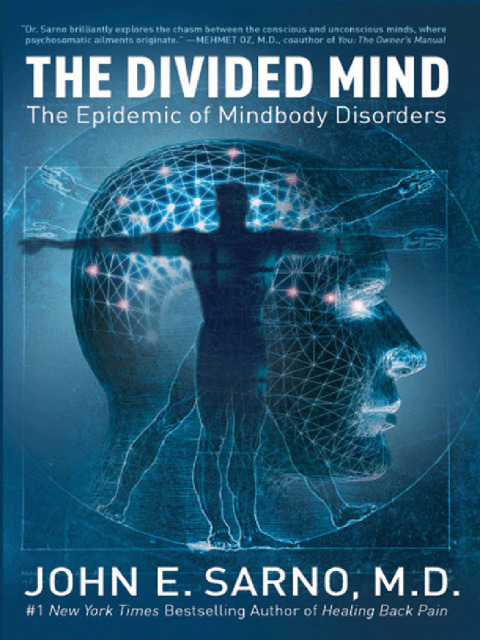 Book The Divided Mind: The Epidemic of Mindbody Disorders free