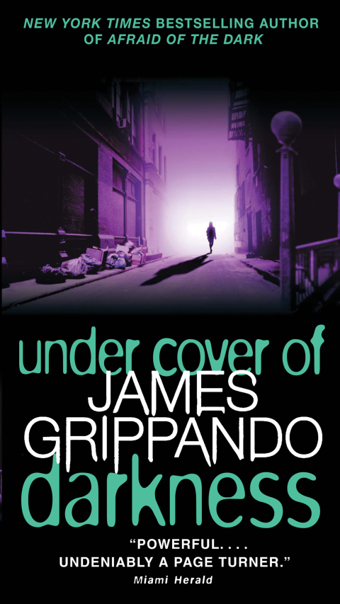 Book Under Cover of Darkness (Andie Henning Book 1) free