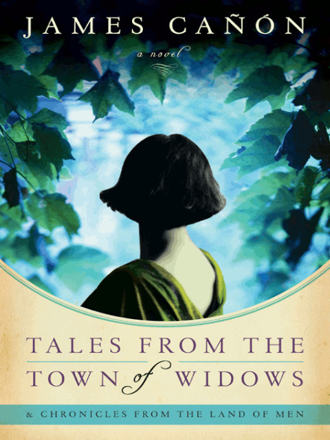 Book Tales from the Town of Widows free