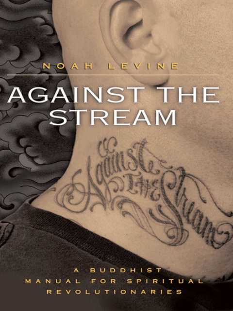 Book Against the Stream: A Buddhist Manual for Spiritual Revolutionaries free