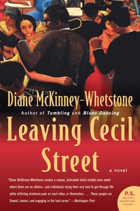 Book Leaving Cecil Street: A Novel free
