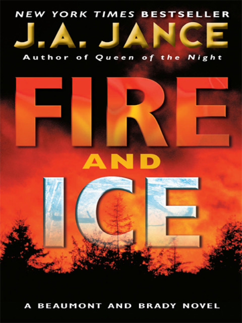 Book Fire and Ice (Joanna Brady Mysteries Book 14) free