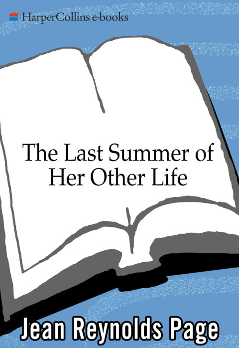 Book The Last Summer of Her Other Life free