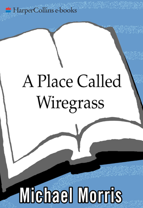 Book A Place Called Wiregrass free