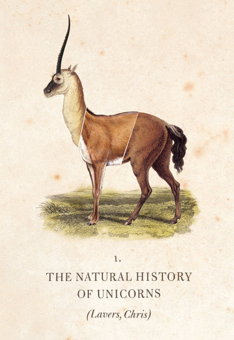 Book The Natural History of Unicorns free