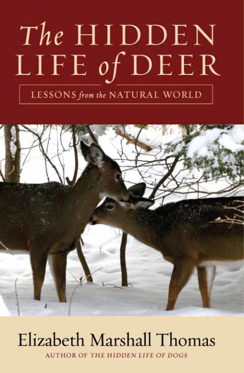 Book The Hidden Life of Deer: Lessons from the Natural World free