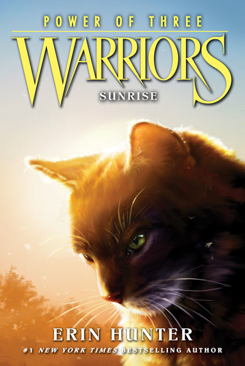 Book Warriors: Power of Three #6: Sunrise free