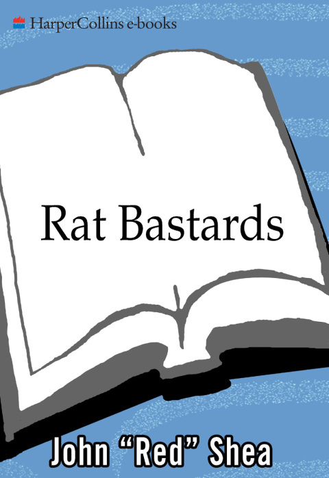Book Rat Bastards: The South Boston Irish Mobster Who Took the Rap When Everyone Else Ran free