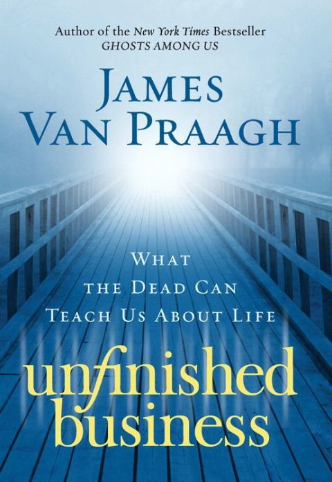 Book Unfinished Business free