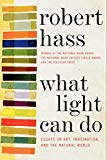 Book What Light Can Do: Essays on Art, Imagination, and the Natural World free
