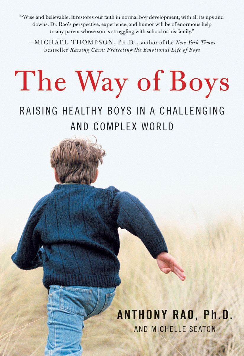 Book The Way of Boys: Promoting the Social and Emotional Development of Young Boys free