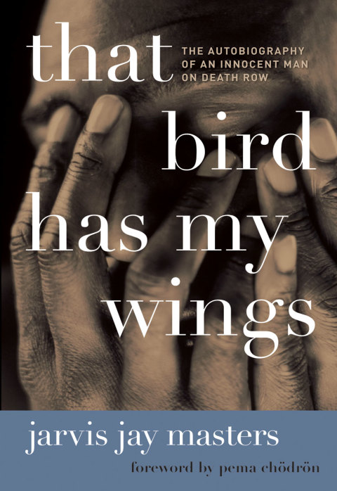 Book That Bird Has My Wings: The Autobiography of an Innocent Man on Death Row free