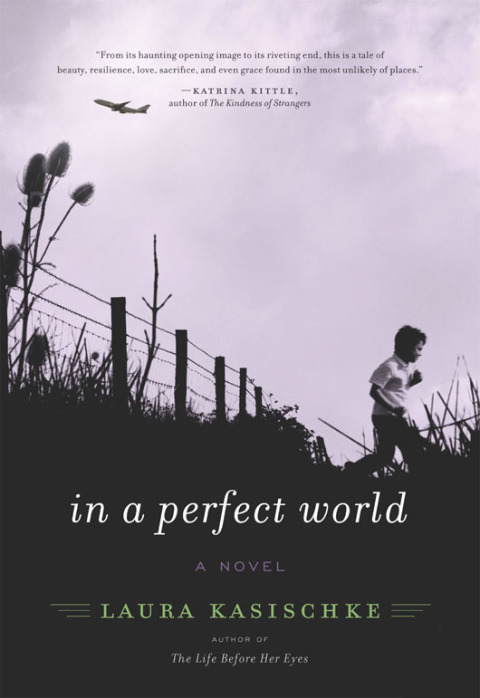 Book In a Perfect World: A Novel free