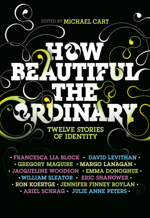 Book How Beautiful the Ordinary: Twelve Stories of Identity free