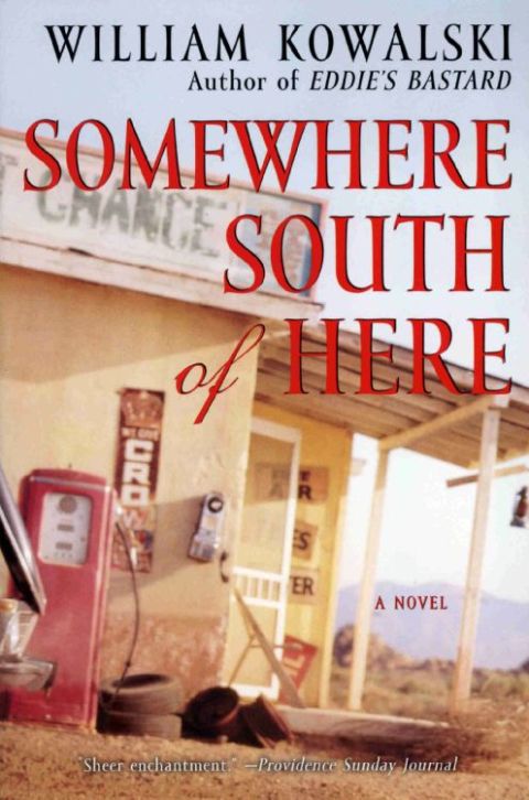 Book Somewhere South of Here: A Novel free