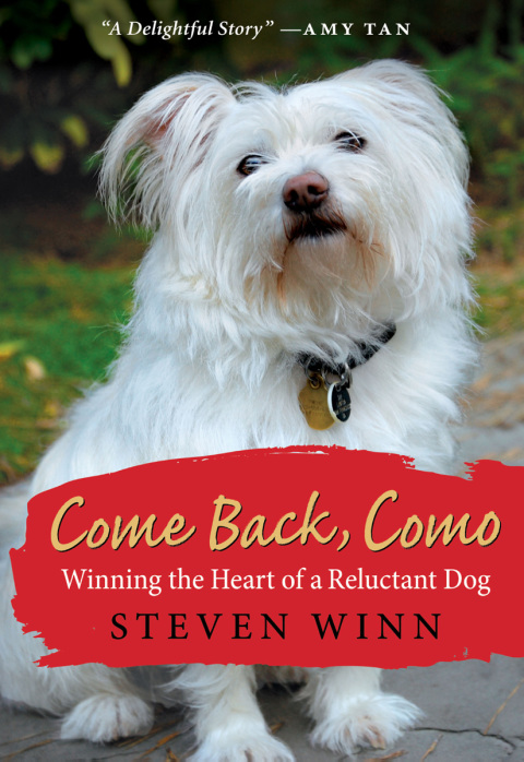 Book Come Back, Como: Winning the Heart of a Reluctant Dog free