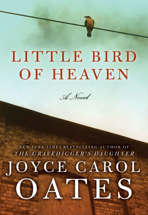 Book Little Bird of Heaven: A Novel free