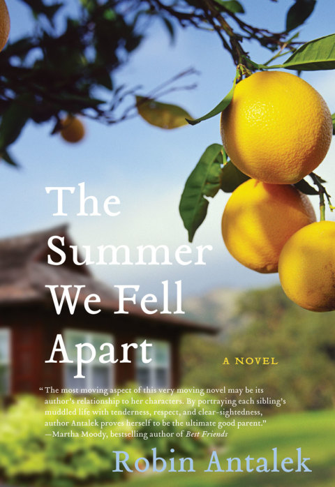 Book The Summer We Fell Apart: A Novel free