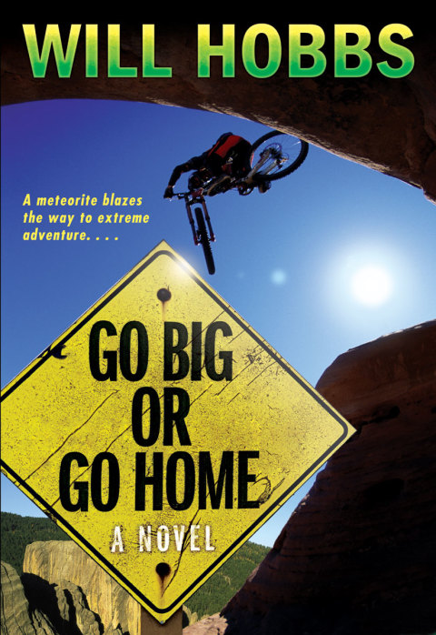 Book Go Big or Go Home free