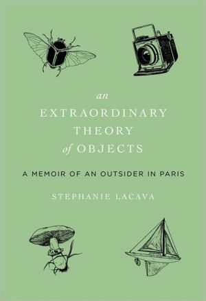 Book An Extraordinary Theory of Objects: A Memoir of an Outsider in Paris free