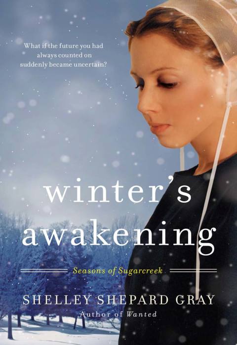 Book Winter's Awakening: Seasons of Sugarcreek, Book One free