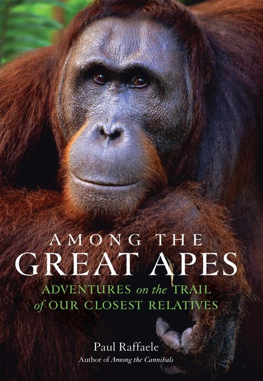 Book Among the Great Apes free