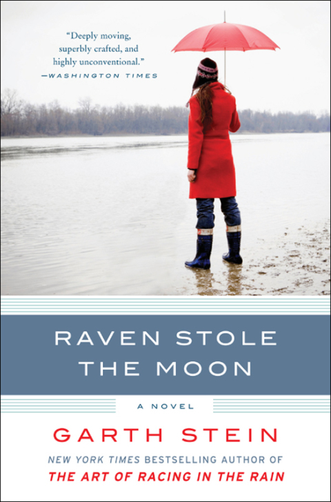 Book Raven Stole the Moon free