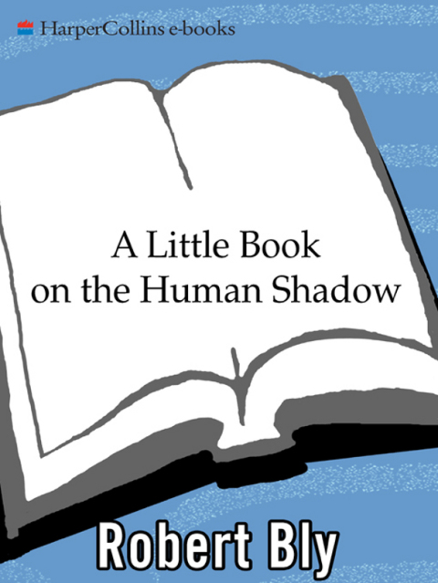 Book A Little Book on the Human Shadow free