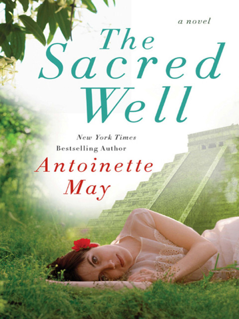 Book The Sacred Well free